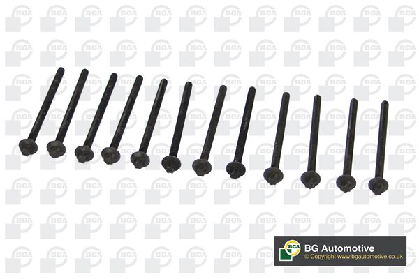 Болты ГБЦ BK4305 BGA BK4305