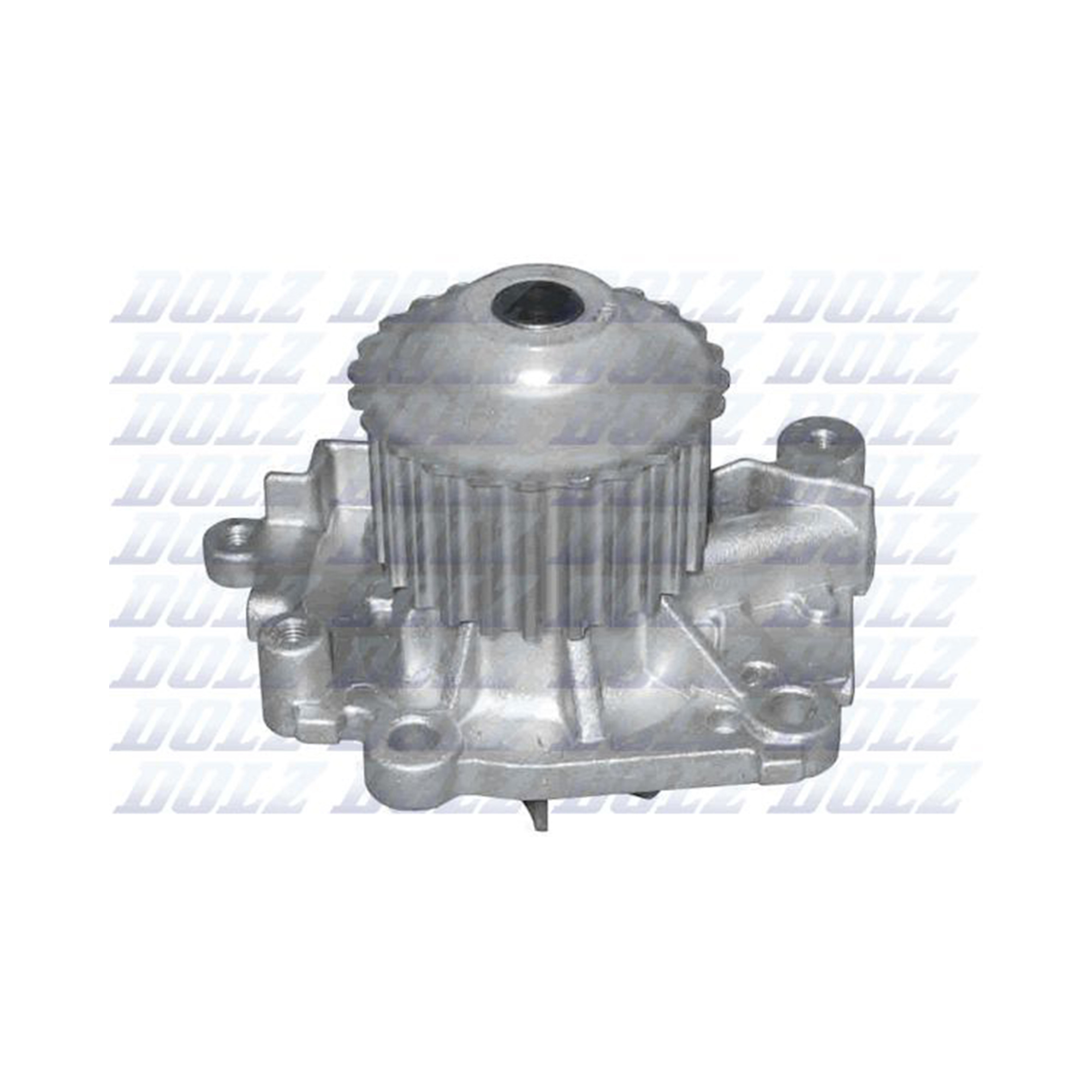 Насос водяной R301 DOLZ R301