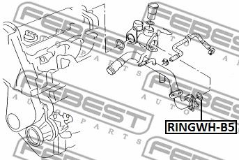 Кольцо уплотнительное RINGWHB5 FEBEST RINGWHB5