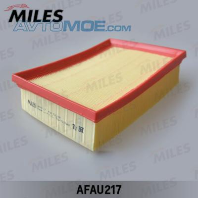 Фильтр воздушный AFAU217 MILES AFAU217