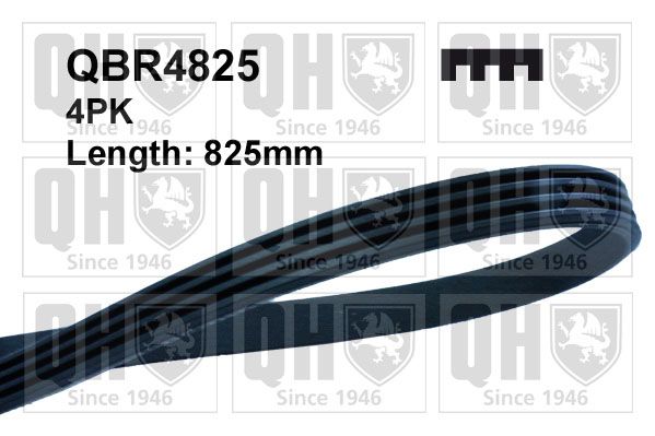 Ремень поликлиновой QBR4825 QUINTON HAZELL QBR4825